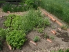kraeuterbeet28051311