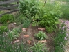 kraeuterbeet2805134