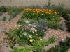 user_74_kraeuterbeet_juli_12_1